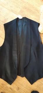 Gilet  maat xxL, Kleding | Heren, Verzenden, Zo goed als nieuw, Overige maten