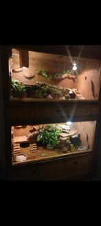 Grote mooie antieke dubbele terrarium kast, Dieren en Toebehoren, Reptielen en Amfibieën | Toebehoren, Ophalen, Zo goed als nieuw