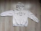 Hoodie, Kleding | Dames, Ophalen of Verzenden, Maat 36 (S), Grijs