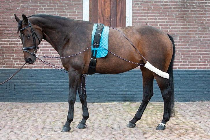 Passoa longeerlijnen met longeersingel,  full, Dieren en Toebehoren, Paarden en Pony's | Overige Paardenspullen, Gebruikt, Dressuur