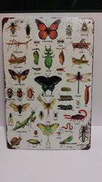 Aluminium Wanddecoratie - Insecten - 20x30cm, Ophalen of Verzenden, Nieuw