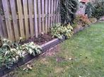 Gratis: ruim 10 meter borderrand, Tuin en Terras, Bielzen en Borders, Ophalen, Overige materialen, Gebruikt, 25 tot 50 cm