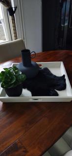 Te koop: wit houten dienblad van Rofra., Ophalen of Verzenden, Rechthoekig, Hout