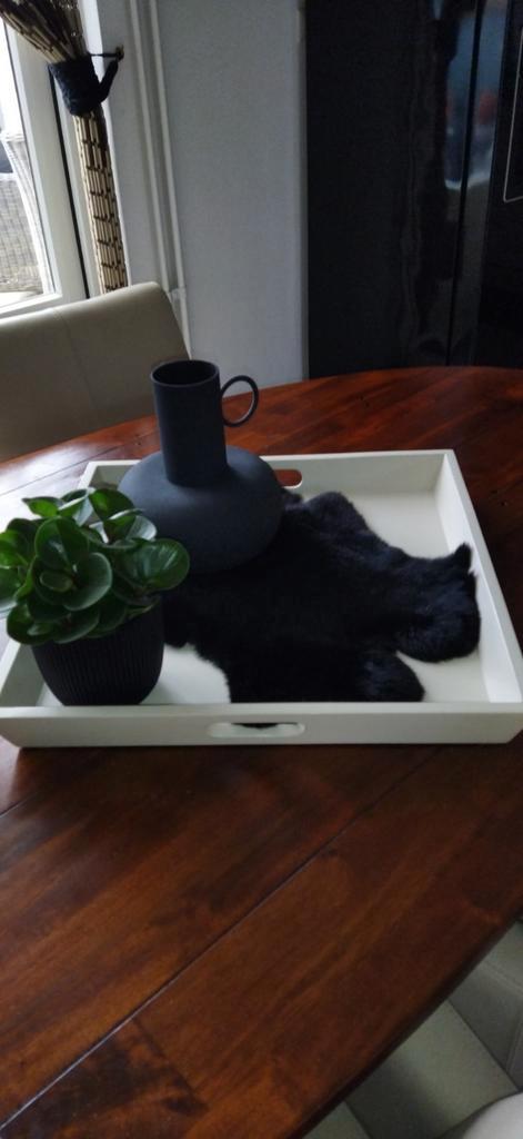 Te koop: wit houten dienblad van Rofra., Huis en Inrichting, Woonaccessoires | Dienbladen, Hout, Rechthoekig, Ophalen of Verzenden