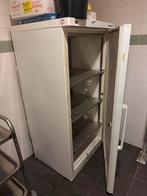 Liebherr Profi Line Koelkast - Gebruikt, Witgoed en Apparatuur, Vriezers en Diepvrieskisten, Ophalen, Gebruikt, 160 cm of meer