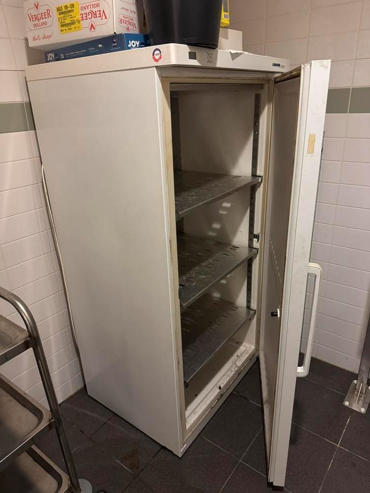 Liebherr Profi Line Koelkast - Gebruikt, Witgoed en Apparatuur, Vriezers en Diepvrieskisten, Gebruikt, 160 cm of meer, Ophalen