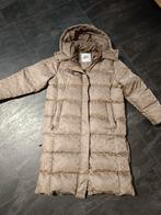 Malelions dames jas ,nieuw model maat XL, Ophalen of Verzenden, Nieuw, Maat 46/48 (XL) of groter, Beige