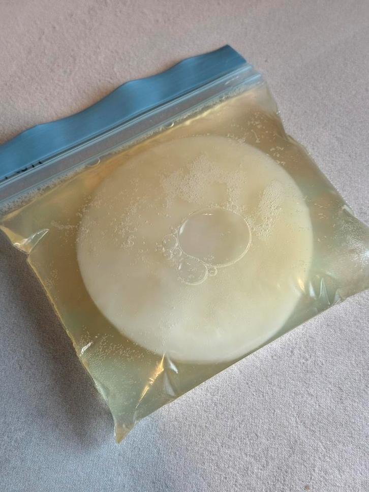 Kombucha of jun kombucha scoby en startersvloeistof, Diversen, Levensmiddelen, Ophalen