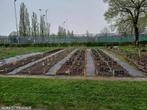 ACTIE | rijplaat 300x50 cm | GEBRUIKT, Ophalen of Verzenden, De Rijplaten Specialist, Info@derijplatenspecialist.nl, Goorsteeg 46, 6718TA Ede, NL