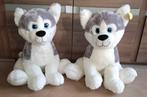 Grote Husky Knuffels, Ophalen, Nieuw, Hond