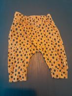 Leuke broek met stippen maat 56, Kinderen en Baby's, Babykleding | Maat 56, Broekje, Meisje, Ophalen of Verzenden, Zo goed als nieuw