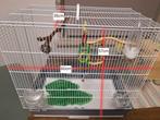 Een vogelkooi met alle bijbehorende accessoires en speeltjes, Dieren en Toebehoren, Vogels | Hokken en Kooien, Ophalen, Zo goed als nieuw