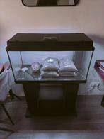 Compleet Juwel aquarium 110 liter met kast 80x36x45, Dieren en Toebehoren, Ophalen, Leeg aquarium
