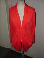 Daybreak vest maat S, loopt rond dus achterkant is langer, Daybreak, Ophalen of Verzenden, Zo goed als nieuw, Maat 36 (S)