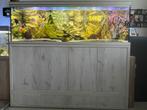 Aquatlantis aquarium 800L + meubel in België, Dieren en Toebehoren, Vissen | Aquaria en Toebehoren, Ophalen, Zo goed als nieuw
