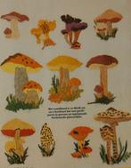 Borduurpatroon  Paddestoelen merklap  nr 6978, Verzenden, Nieuw, Handborduren, Patroon