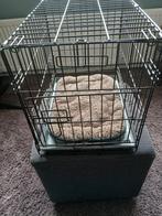 Mooie pup bench., Dieren en Toebehoren, Ophalen, Zo goed als nieuw, 75 tot 110 cm, Minder dan 65 cm