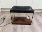 Aquarium tetra 30 liter, Dieren en Toebehoren, Ophalen of Verzenden, Gebruikt, Leeg aquarium