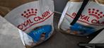 1 zak 12 kg  Boxerbrok puppy van Royal Canin, Dieren en Toebehoren, Dierenvoeding, Ophalen of Verzenden, Hond
