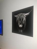 Groot glazen schilderij Schotse Hooglander, Huis en Inrichting, Woonaccessoires | Schilderijen, Tekeningen en Foto's, Gebruikt