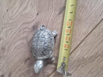 Zilveren schildpad China beschikbaar voor biedingen