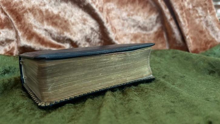 Antiek Nieuw Testament (Statenvertaling) - Editie 1918, Antiek en Kunst, Antiek | Boeken en Bijbels, Ophalen of Verzenden
