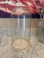 Glazen stolp met houten onderbord - 46 cm hoog, Ophalen, Zo goed als nieuw