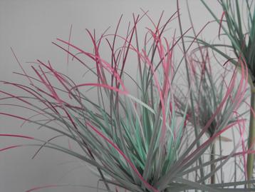 Kunstplant  modern groen / roze beschikbaar voor biedingen