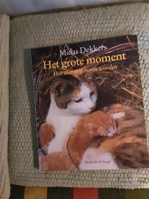 Midas Dekkers.------Het grote moment, Boeken, Dieren en Huisdieren, Zo goed als nieuw, Honden, Ophalen of Verzenden