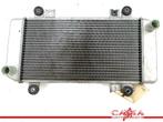 RADIATEUR Kawasaki ZX 250 R (Ninja ZX250R) (220003741), Gebruikt
