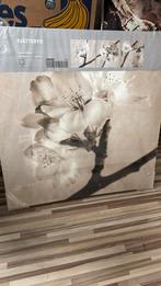 3 x pjatteryd Ikea, Ophalen, 50 tot 75 cm, Nieuw, Schilderij