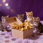 Kitten verrassingsbox lief cadeau voor jouw kat of kitten, Dieren en Toebehoren, Ophalen of Verzenden, Nieuw