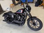 HARLEY-DAVIDSON SPORTSTER XL 1200 N Iron (bj 2020), Motoren, Motoren | Harley-Davidson, 2 cilinders, Chopper, Particulier, Meer dan 35 kW