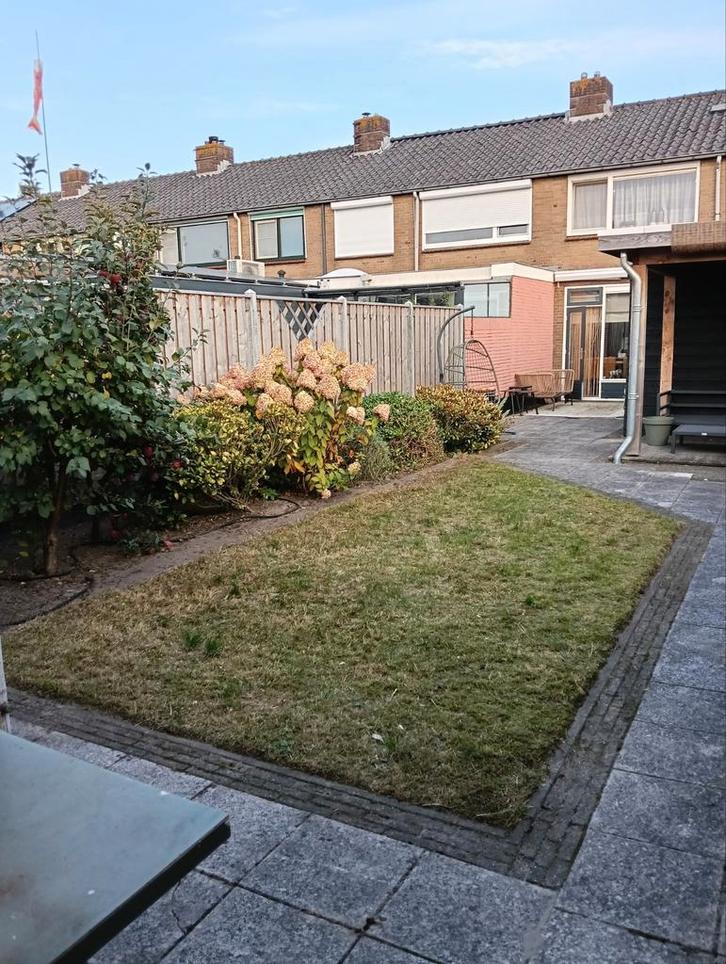 Tuinonderhoud en aanleg, Boeken, Wonen en Tuinieren, Nieuw, Ophalen of Verzenden