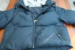 Dames Tommy Hilfiger jack jas puffer blauw maat M zgan, Kleding | Dames, Maat 38/40 (M), Blauw, Ophalen of Verzenden, Zo goed als nieuw
