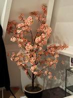 Bloesemboom Nieuw in Doos, Ophalen of Verzenden, Nieuw, Binnen