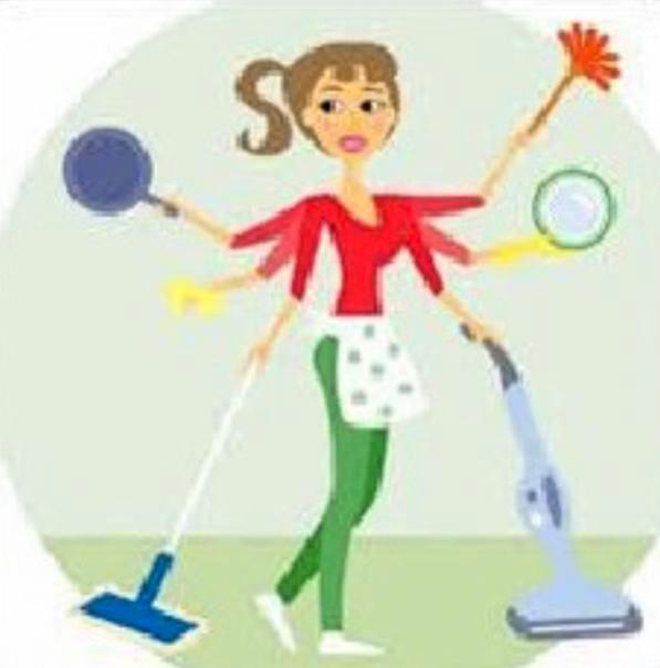 Werkster / huishoudelijke hulp aangeboden, Vacatures, Vacatures | Schoonmaak en Facilitaire diensten, HBO, Vanaf 5 jaar, Freelance of Uitzendbasis