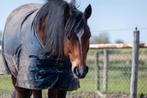 bijrijder verzorgster gezocht voor 2 DE ponys, Ophalen of Verzenden, Nieuw