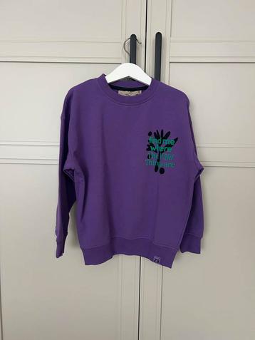 Z8 trui Timon-Purple palace maat 116/122 beschikbaar voor biedingen