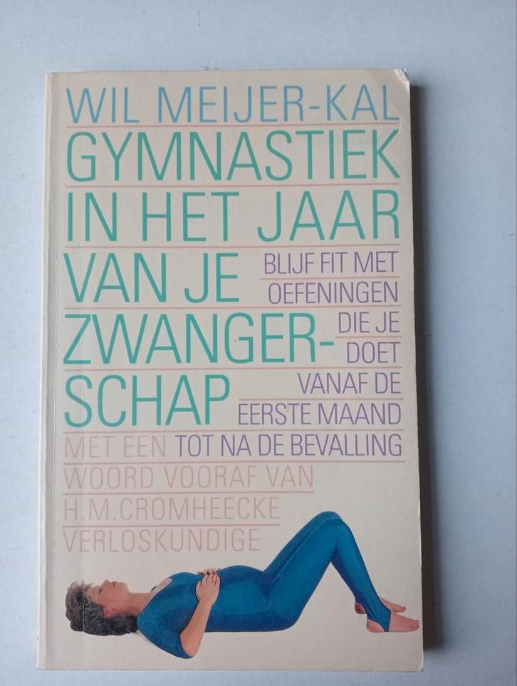 Gymnastiek in het jaar van je zwangerschap, Boeken, Zwangerschap en Opvoeding, Gelezen, Zwangerschap en Bevalling, Verzenden