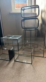 Aquariums vanaf 10liter, Vis