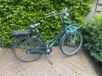 Batavus 50 inch elektrische (moeder)fiets, Ophalen, Gebruikt, Batavus, 47 tot 51 cm