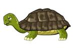Nakweek 2023, Dieren en Toebehoren, Reptielen en Amfibieën, 0 tot 2 jaar, Schildpad