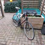 Racefiets - Bottecchia, Overige merken, 28 inch, Gebruikt, Heren