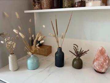 Vaasjes met droogbloemen en zoutlamp beschikbaar voor biedingen