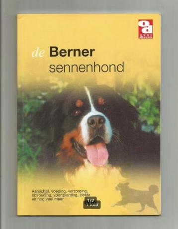 De Berner Sennenhond beschikbaar voor biedingen