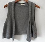 Mouwloos vestje grijs merk Jackpot maat L, Kleding | Dames, Truien en Vesten, Ophalen of Verzenden, Gedragen, Grijs