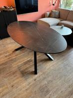 Mariedamm ovale eettafel 180x100 cm, Huis en Inrichting, Ophalen, Ovaal, 150 tot 200 cm, 100 tot 150 cm