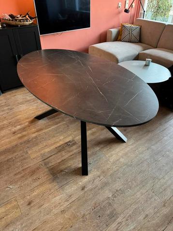 Mariedamm ovale eettafel 180x100 cm beschikbaar voor biedingen