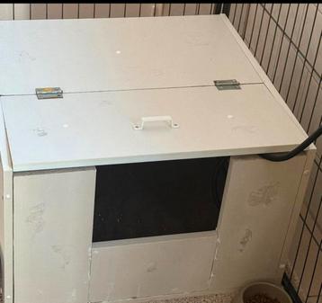 Werpkist kittens beschikbaar voor biedingen